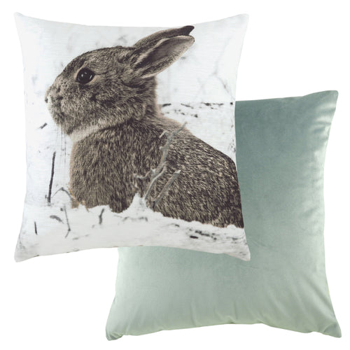 Evans Lichfield Photo Hare Cushion Cover in Brown