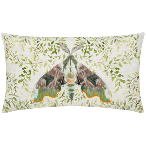 Animal Multi Cushions - Shugborough Moth Traditional Cushion Cover Multicolour Evans Lichfield