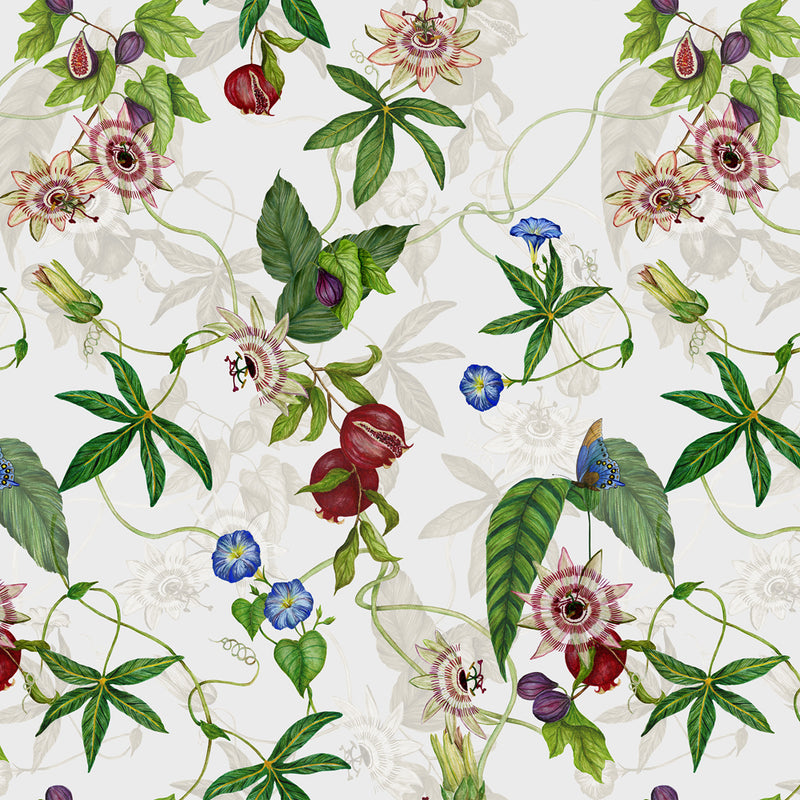 Paoletti Figaro Floral Wallpaper in White