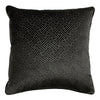 Paoletti Florence Embossed Velvet Cushion Cover in Black