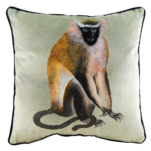 Evans Lichfield Kibale Jungle Monkey Cushion Cover in Cream