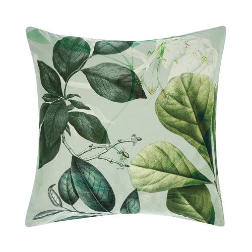 Linen House Glasshouse Botanical Pillow Sham in Mint