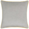 Paoletti Meridian Velvet Cushion Cover in Dove/Cylon