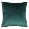 Plain Blue Cushions - Midnight Garden Floral Square Cushion Cover Teal Evans Lichfield