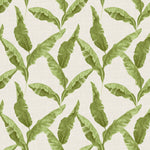 furn. Plantain Wallpaper Sample in Green