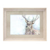 Voyage Maison Wallace Framed Print in Birch