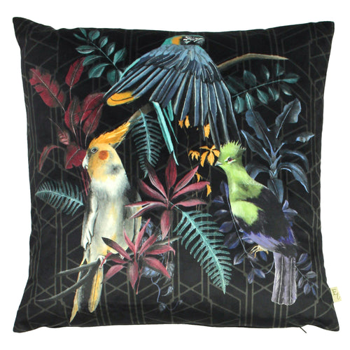 Evans Lichfield Zinara Birds Cushion Cover in Noir